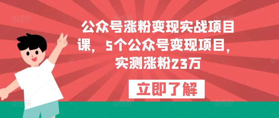 公众号涨粉变现实战项目课，5个公众号变现项目，实测涨粉23万-水滴知识网
