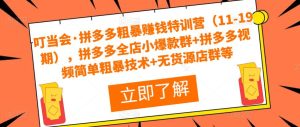 叮当会·拼多多粗暴赚钱特训营(11-19期),拼多多全店小爆款群+拼多多视频简单粗暴技术+无货源店群等-水滴知识网