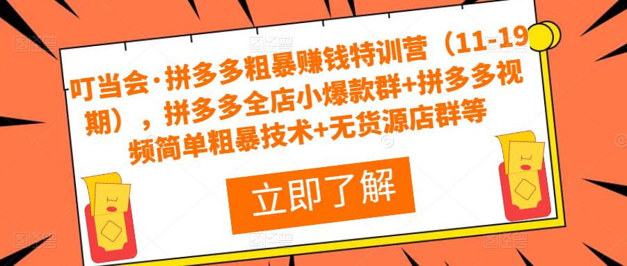 叮当会·拼多多粗暴赚钱特训营(11-19期),拼多多全店小爆款群+拼多多视频简单粗暴技术+无货源店群等-水滴知识网