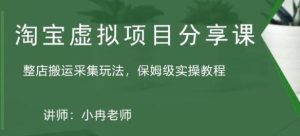 淘宝虚拟整店搬运采集玩法分享课:整店搬运采集玩法,保姆级实操教程-水滴知识网