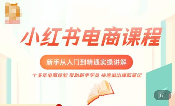 小红书电商新手入门到精通实操课,从入门到精通做爆款笔记,开店运营-水滴知识网