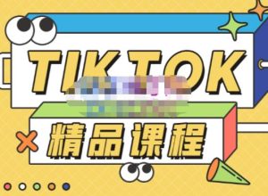 电商孵化中心·TikTok精品课程,教你玩转海外抖音,低成本创业,带您从0开始玩转TikTok-水滴知识网