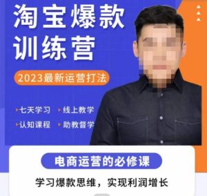 爱上黄昏·淘宝爆款训练营，2023最新运营打法，学习爆款思维，实现利润增长-水滴知识网