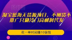 淘宝蓝海无货源项目,不囤货不推广只做冷门高利润代发,花一半时间赚10倍钱-水滴知识网