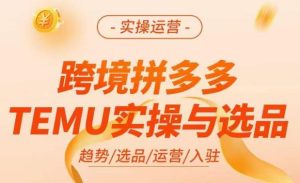 跨境拼多多TEMU实操与选品,掌握平台运营方法技巧,选品避坑12条标准,爆款的底层思路等-水滴知识网