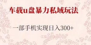 车载u盘暴力私域玩法,长期项目,仅需一部手机实现日入300+-水滴知识网