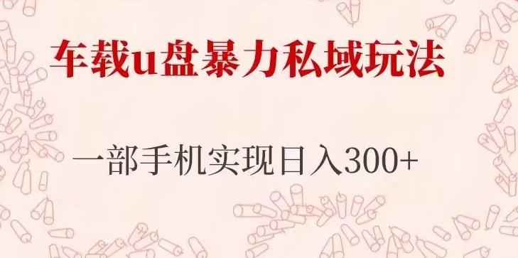 车载u盘暴力私域玩法,长期项目,仅需一部手机实现日入300+-水滴知识网