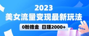 2023美女流量变现最新玩法,0粉撸金,日赚2000+,实测日引流300+-水滴知识网