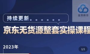 蓝七·2023京东店群整套实操视频教程,京东无货源整套操作流程大总结,减少信息差,有效做店发展-水滴知识网