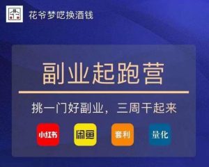 花爷-副业起跑营第2期,挑一门好副业,三周干起来(闲鱼|小红书|量化|套利)-水滴知识网