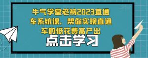 牛气学堂老衲2023直通车系统课,帮你实现直通车的低花费高产出-水滴知识网