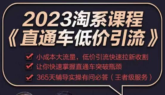 2023直通车低价引流玩法课程，小成本大流量，低价引流快速拉新收割，让你快速掌握直通车突破瓶颈-水滴知识网