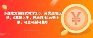 小说推文保姆式教学2.0，另类进阶玩法，0基础上手，轻松月撸1w无上限，可主可副可兼职-水滴知识网