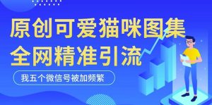 黑科技纯原创可爱猫咪图片，全网精准引流，实操5个VX号被加频繁-水滴知识网