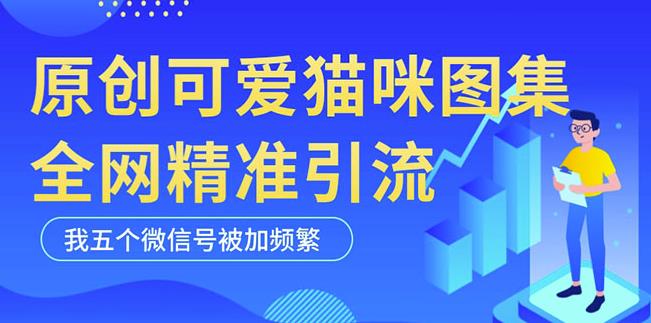 黑科技纯原创可爱猫咪图片,全网精准引流,实操5个VX号被加频繁-水滴知识网