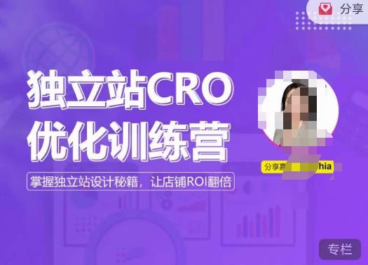 独立站CRO优化训练营，掌握独立站设计秘籍，打造高转化的独立站，让店铺ROI翻倍-水滴知识网