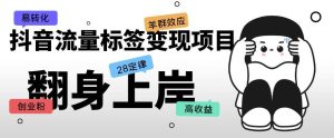 抖音流量标签变现项目，抖音创业粉轻松转化，单价高收益简单-水滴知识网