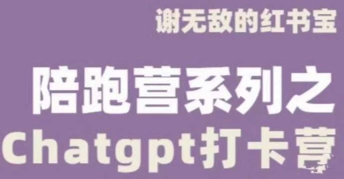 谢无敌ChatGPT打卡营，教你更好地使用ChatGPT来提高工作效率-水滴知识网