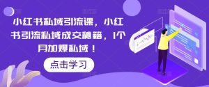 小红书私域引流课，小红书引流私域成交秘籍，1个月加爆私域！-水滴知识网