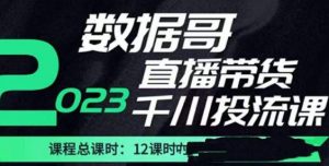 数据哥2023直播电商巨量千川付费投流实操课,快速掌握直播带货运营投放策略-水滴知识网
