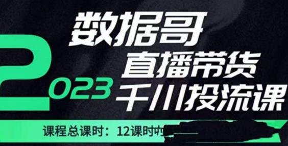 数据哥2023直播电商巨量千川付费投流实操课,快速掌握直播带货运营投放策略-水滴知识网