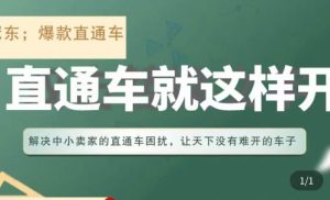 冠东·淘系直通车保姆级教程，全面讲解直通车就那么简单-水滴知识网
