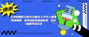 云顶联盟彭小四2023新无人半无人直播带货教程,自然流起号鱼塘起号,OBS+直播伴侣玩法-水滴知识网