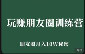 玩赚朋友圈系统课,朋友圈月入10W的秘密,7天系统图文课程-水滴知识网