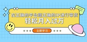 在正确的平台蹭正确的IP进行带货，轻松月入过万-水滴知识网