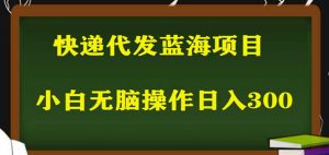 2023最新蓝海快递代发项目,小白零成本照抄也能日入300+-水滴知识网
