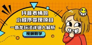 抖音表情包小程序变现项目,一条龙玩法详细大解析,视频版学习!-水滴知识网
