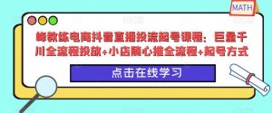 峰教练电商抖音直播投流起号课程:巨量千川全流程投放+小店随心推全流程+起号方式-水滴知识网