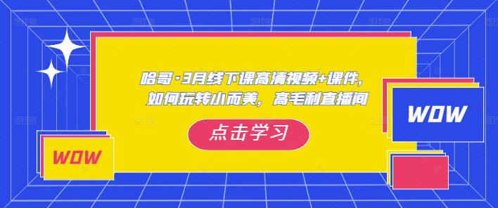 哈哥·3月线下实操课高清视频+课件,如何玩转小而美,高毛利直播间-水滴知识网