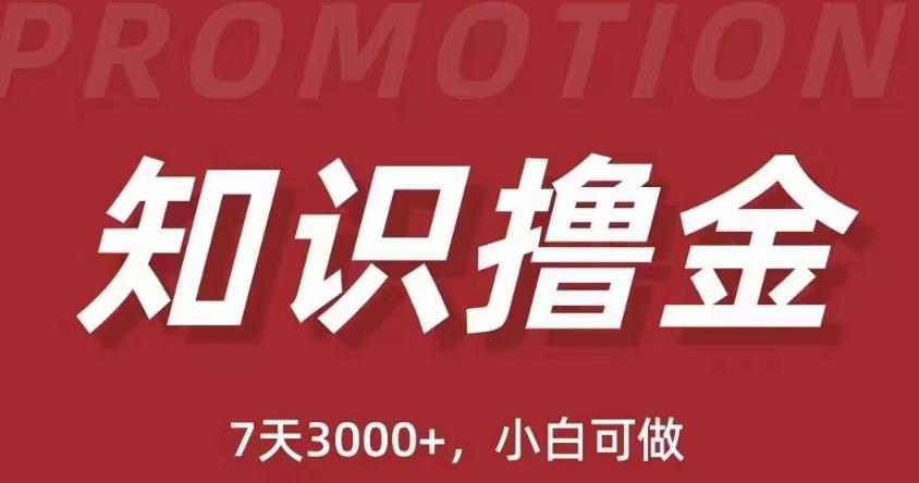 抖音知识撸金项目：简单粗暴日入1000+执行力强当天见收益(教程+资料)-水滴知识网