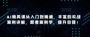 AI精英课从入门到精通,丰富的实战案例讲解,跟着案例学,提升自我!-水滴知识网