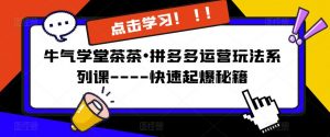 牛气学堂茶茶•拼多多运营玩法系列课—-快速起爆秘籍【更新】-水滴知识网