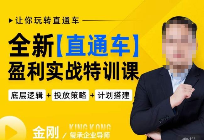玺承·全新直通车盈利实战特训课,从底层逻辑详细拆解,从底层,策略到搭建,让你玩转直通车-水滴知识网