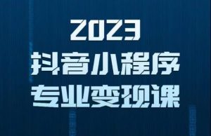 2023年抖音小程序变现保姆级教程,0粉丝新号,无需实名,3天起号,第1条视频就有收入-水滴知识网