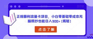 正规暴利流量卡项目，小白零基础零成本无脑照抄也能日入300+【揭秘】-水滴知识网