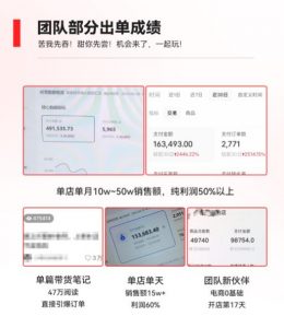 2023小红书电商火爆全网,新晋红利,风口项目,单店收益在3000-30000!-水滴知识网