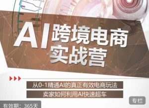 白龙老师·AI跨境电商实战营:从0-1精通Al的真正有效电商玩法,卖家如何利用Al快速超车-水滴知识网
