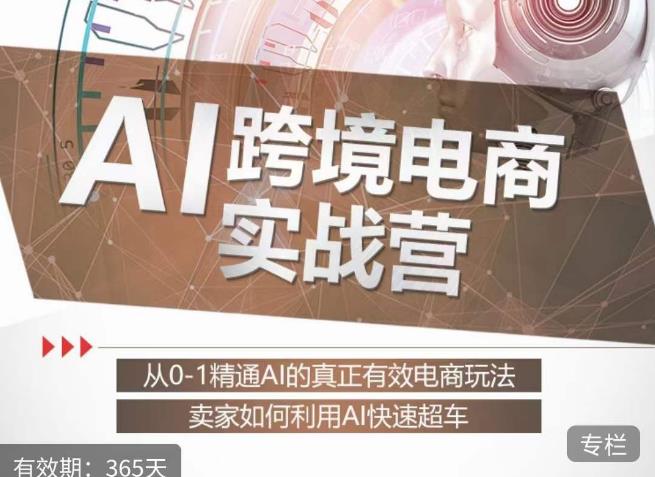 白龙老师·AI跨境电商实战营：从0-1精通Al的真正有效电商玩法，卖家如何利用Al快速超车-水滴知识网