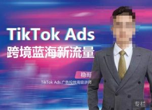 稳哥·如何投出高ROI的TikTok广告，开拓独立站卖家流量新蓝海-水滴知识网