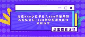 价值980小红书日入300突破限制无限私信日+100创业粉项目适合所有行业-水滴知识网