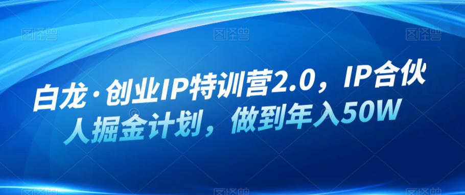 白龙·创业IP特训营2.0，IP合伙人掘金计划，做到年入50W-水滴知识网