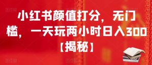 小红书颜值打分,无门槛,一天玩两小时日入300+【揭秘】-水滴知识网