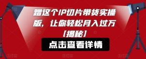 蹭这个IP切片带货实操版,让你轻松月入过万【揭秘】-水滴知识网