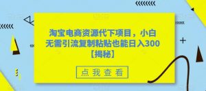 淘宝电商资源代下项目，小白无需引流复制粘贴也能日入300＋【揭秘】-水滴知识网