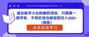 适合新手小白的搬砖项目，只需要一部手机、不用引流也能做到日入300+【揭秘】-水滴知识网