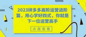2023拼多多高阶运营进阶篇,用心学好四式,你就是下一位运营高手-水滴知识网